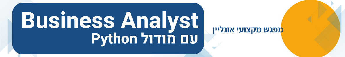Business Analyst
